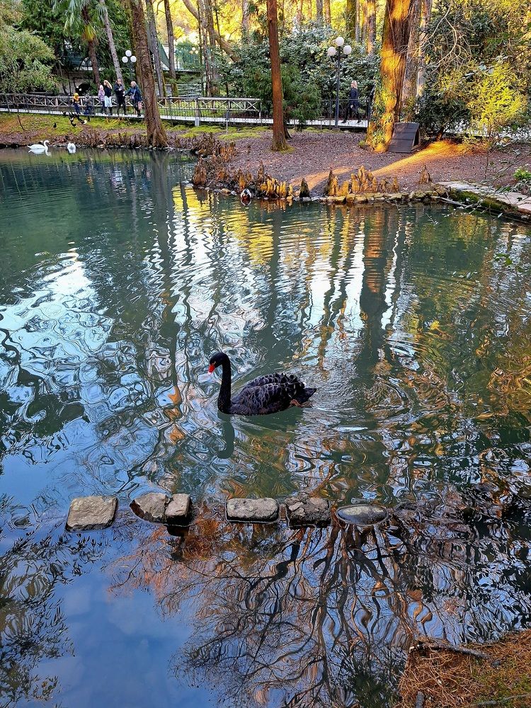 Photograph by Игорь Чечин