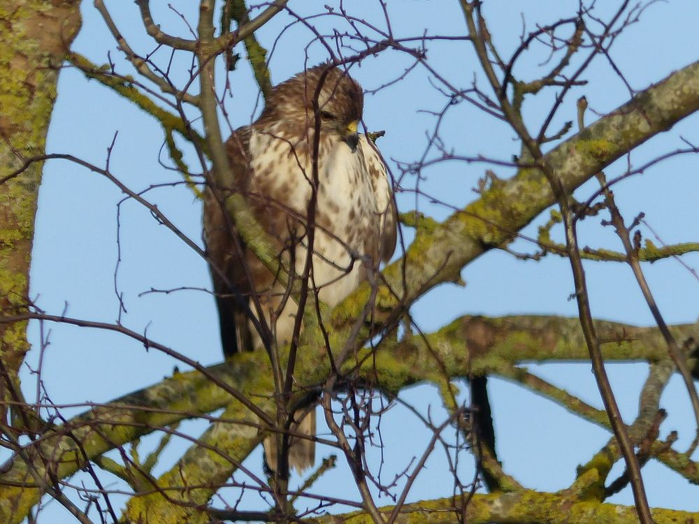 Photograph by Isabella Northrop