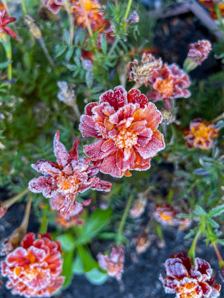 Photograph by Елена Сиушова