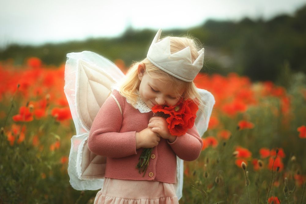 Фотография автора Виктория Литвиненко