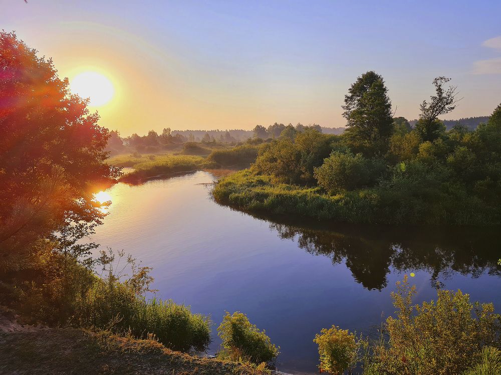 Утро на реке