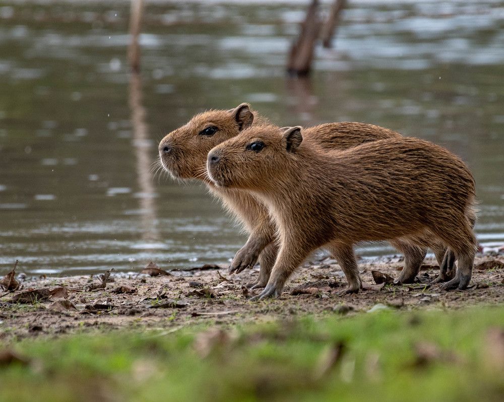 Photograph by Mateo García Mejía