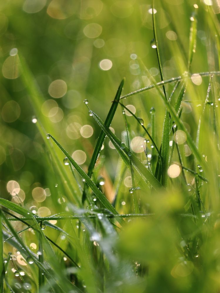 Фотография автора Воронина Татьяна