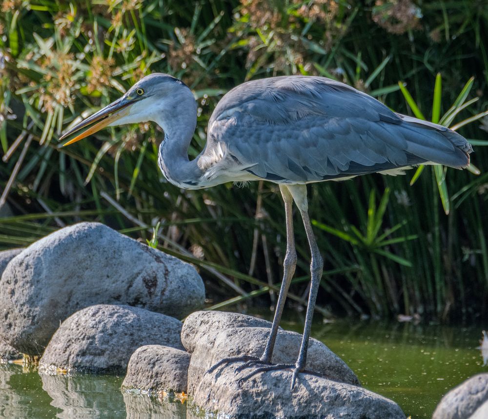 Фотография автора Sercan Özyurt