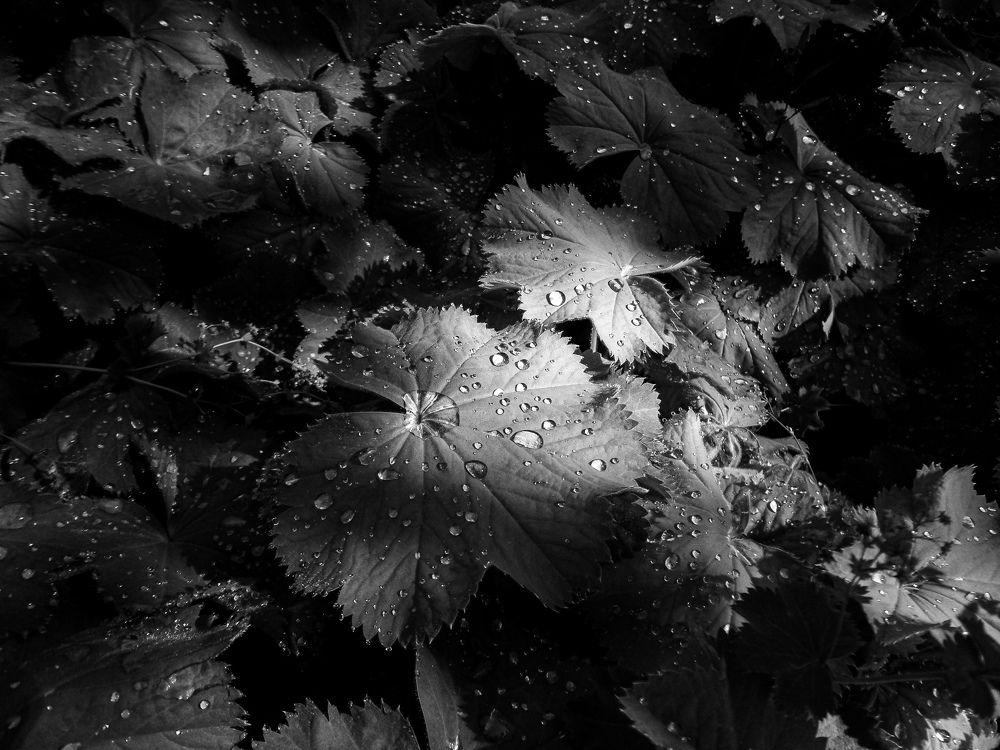 Photograph by Наталья Трофимова