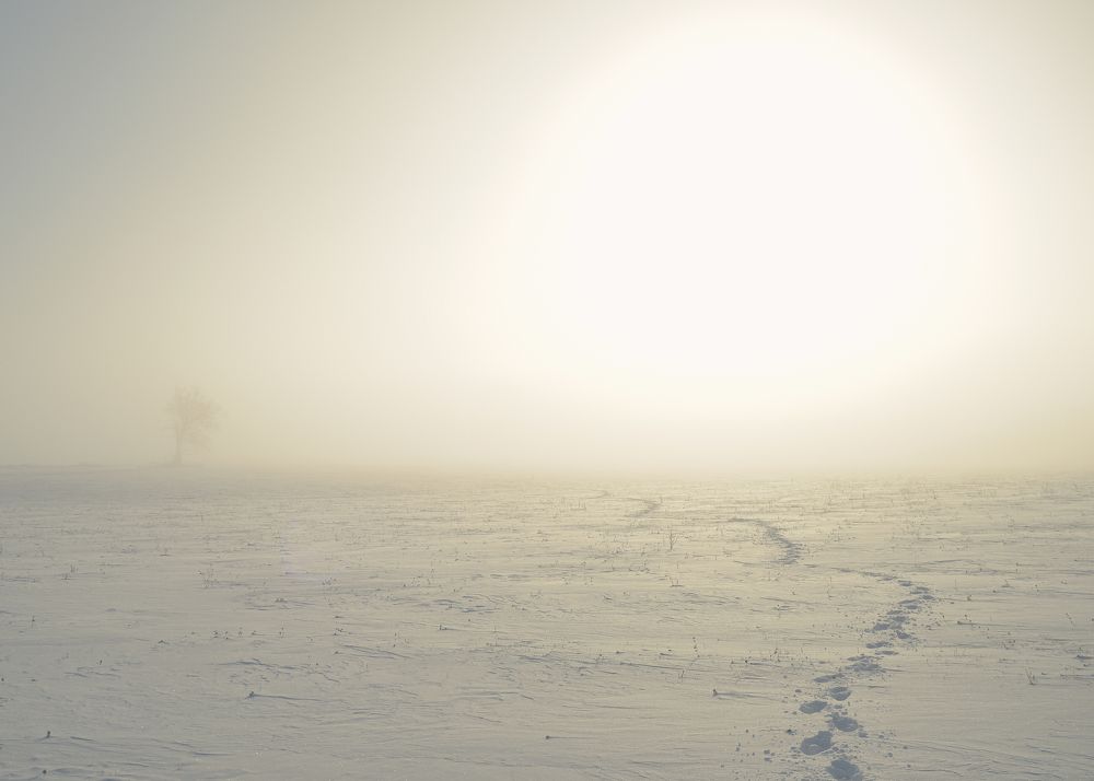 Photograph by Aliaksei Shandalin