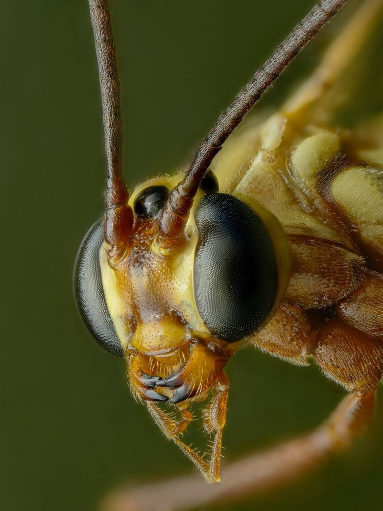 Photograph by Юрий Юрьевич