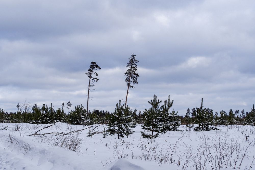 Photograph by Ольга Лысенко