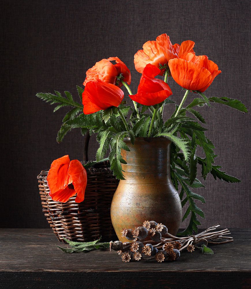 Photograph by Наталья Казанцева