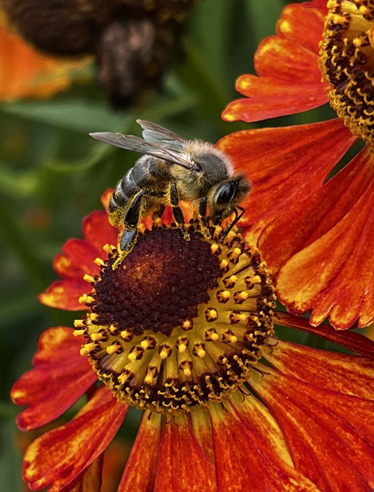 Photograph by Анна