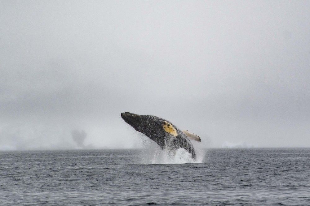 Photograph by Ованес Агарян