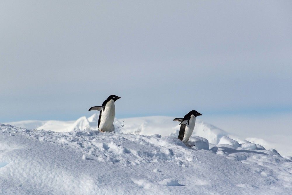 Photograph by Ованес Агарян