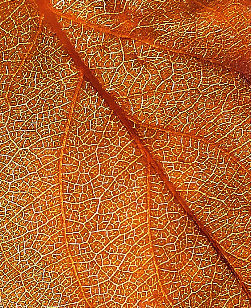 Photograph by Евгений Гонтов