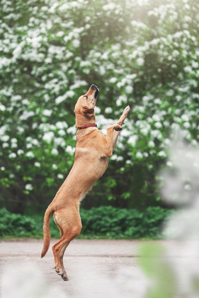 Photograph by Татьяна Степанова