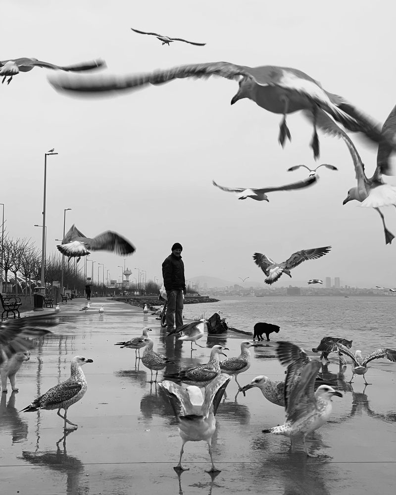 Photograph by Екатерина Лянгасова