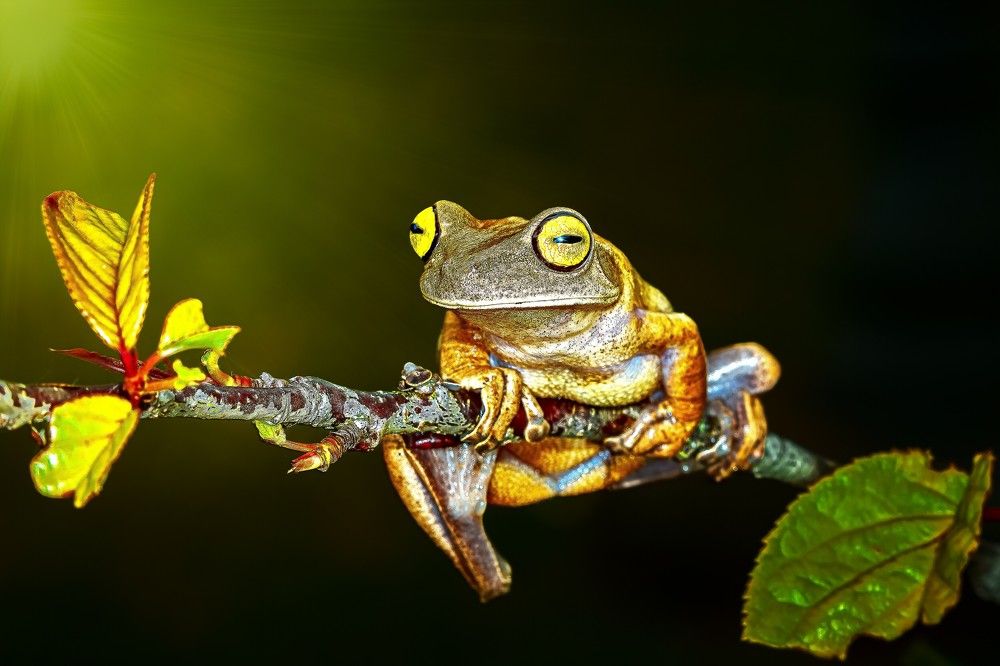 Photograph by Mauro Regalado Soares