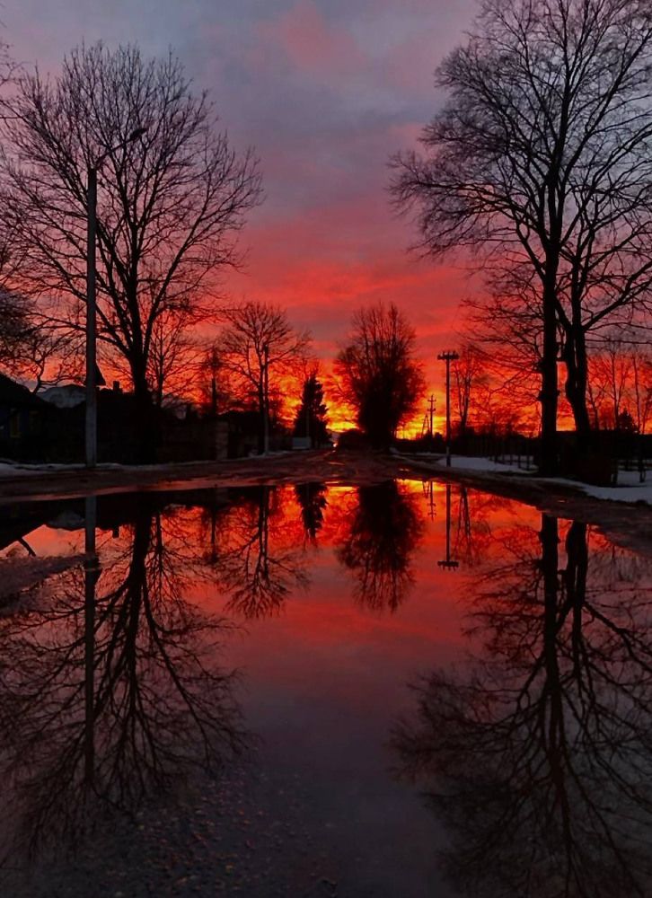 Photograph by Светлана Долганова