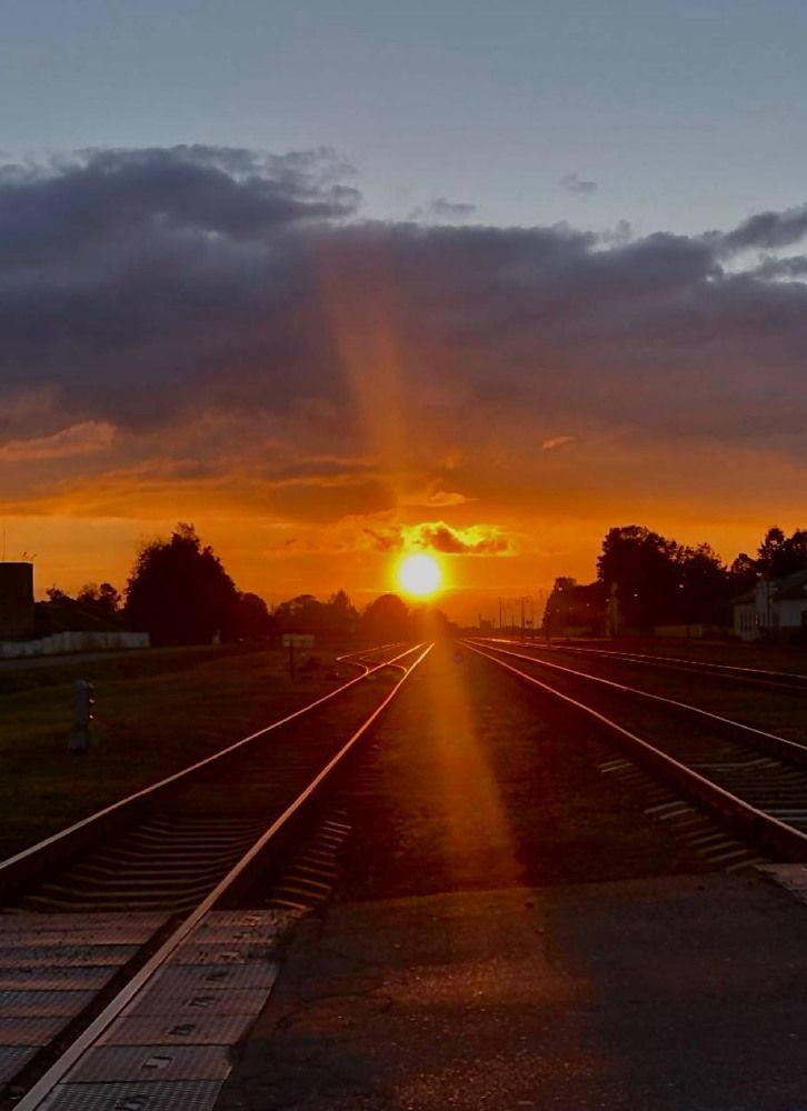 Photograph by Светлана Долганова