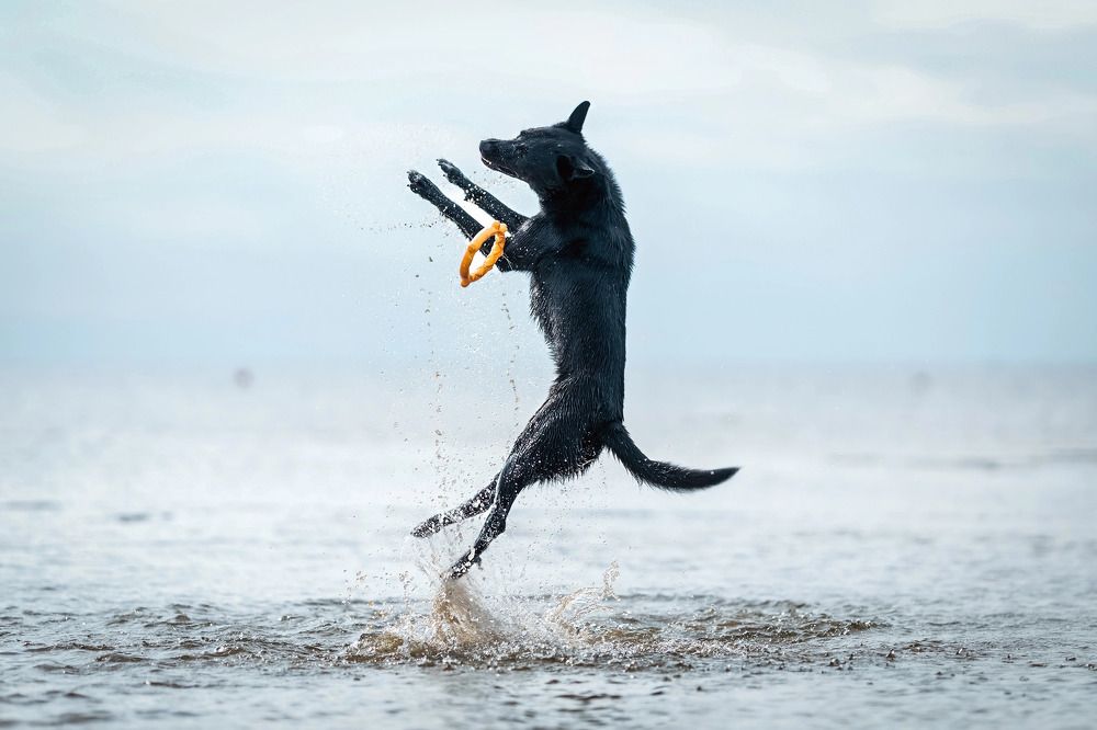 Photograph by Мария Романова