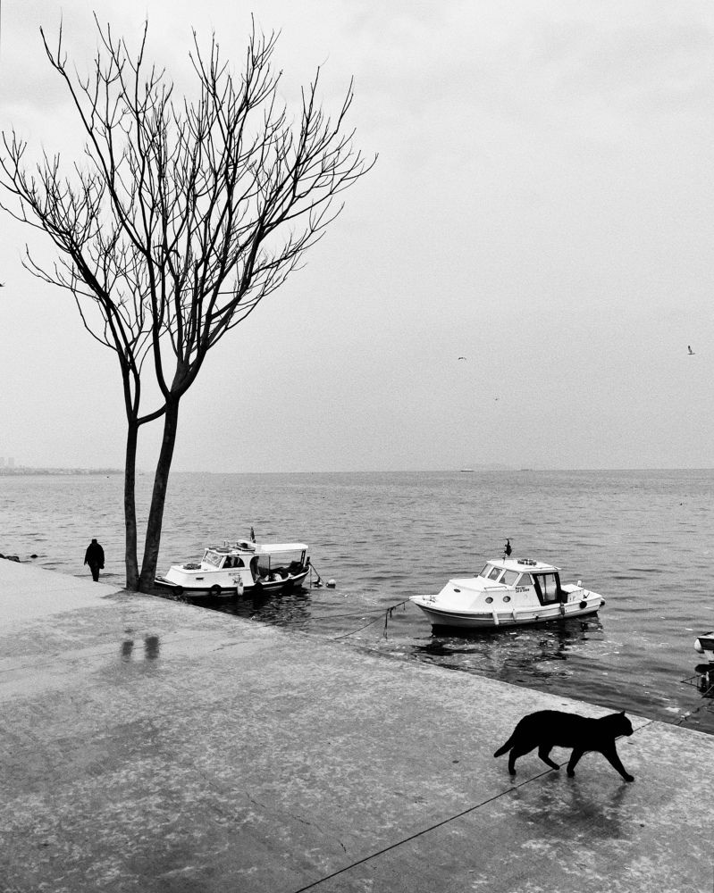 Photograph by Екатерина Лянгасова