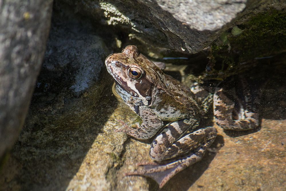 Фотография автора Борис Журавлёв