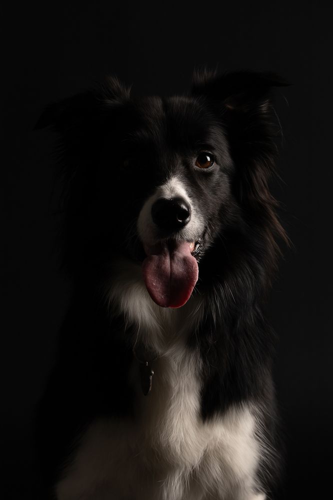 Фотография автора Alicia Mate