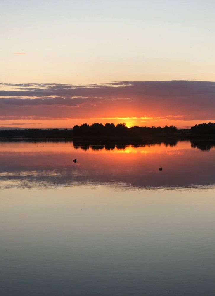 Photograph by Светлана Долганова