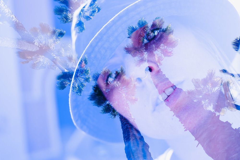 Palm trees and big dreams.