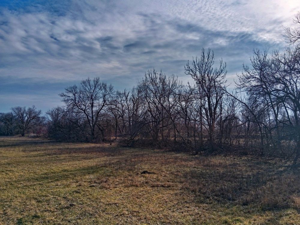 Photograph by Галина Григорьева