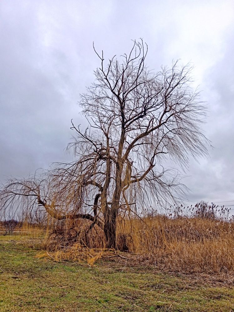 Photograph by Галина Григорьева
