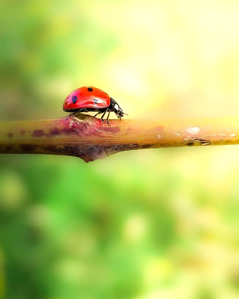 Photograph by Yasin Rezapour