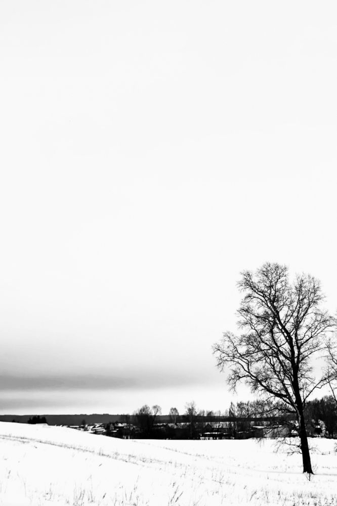 Photograph by Evgenia Privalova