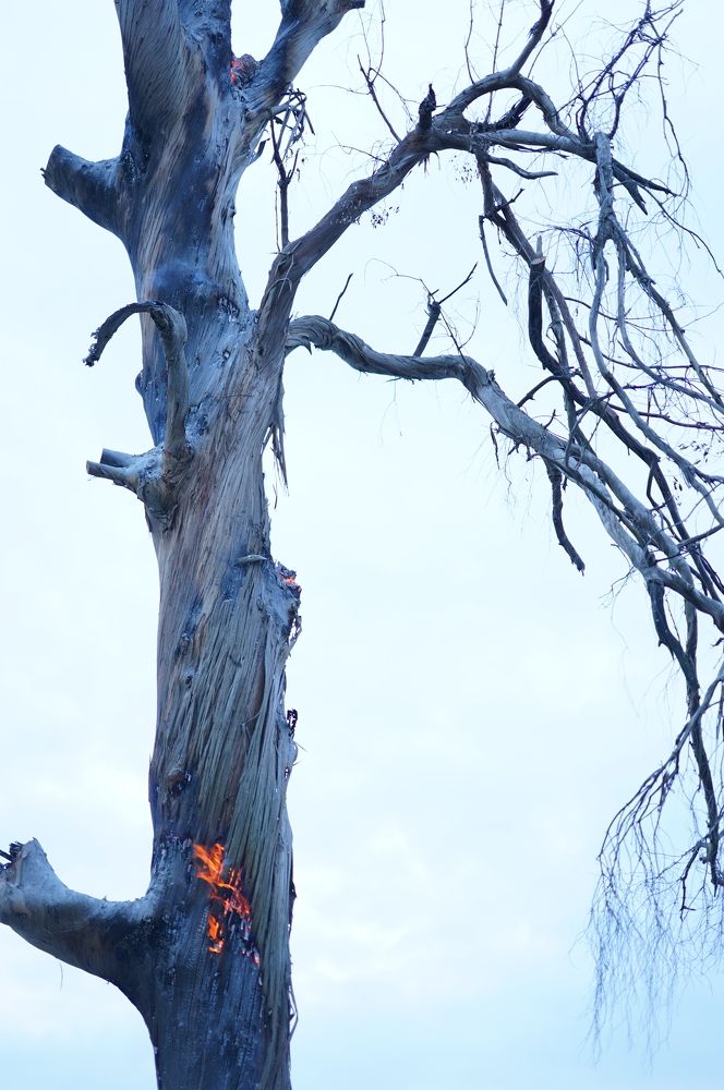 Photograph by Юлия Честнова