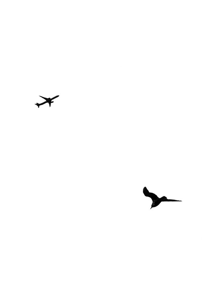 Фотография автора Анна