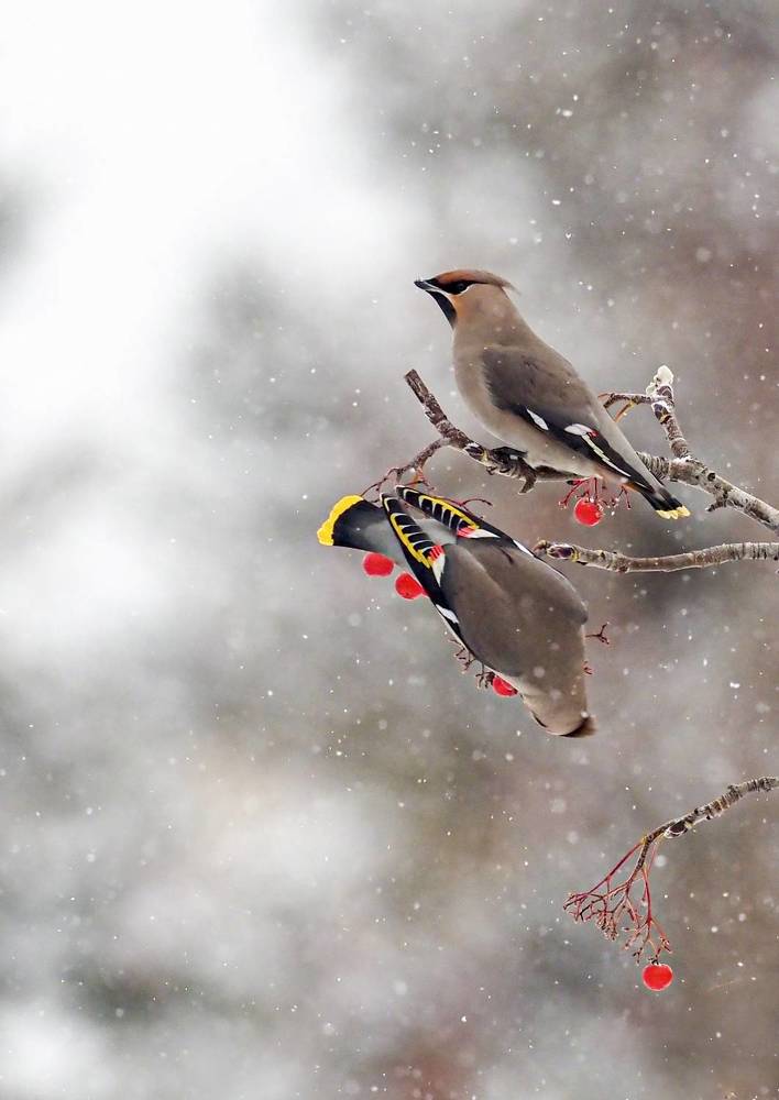 Фотография автора Mariya Belyalova