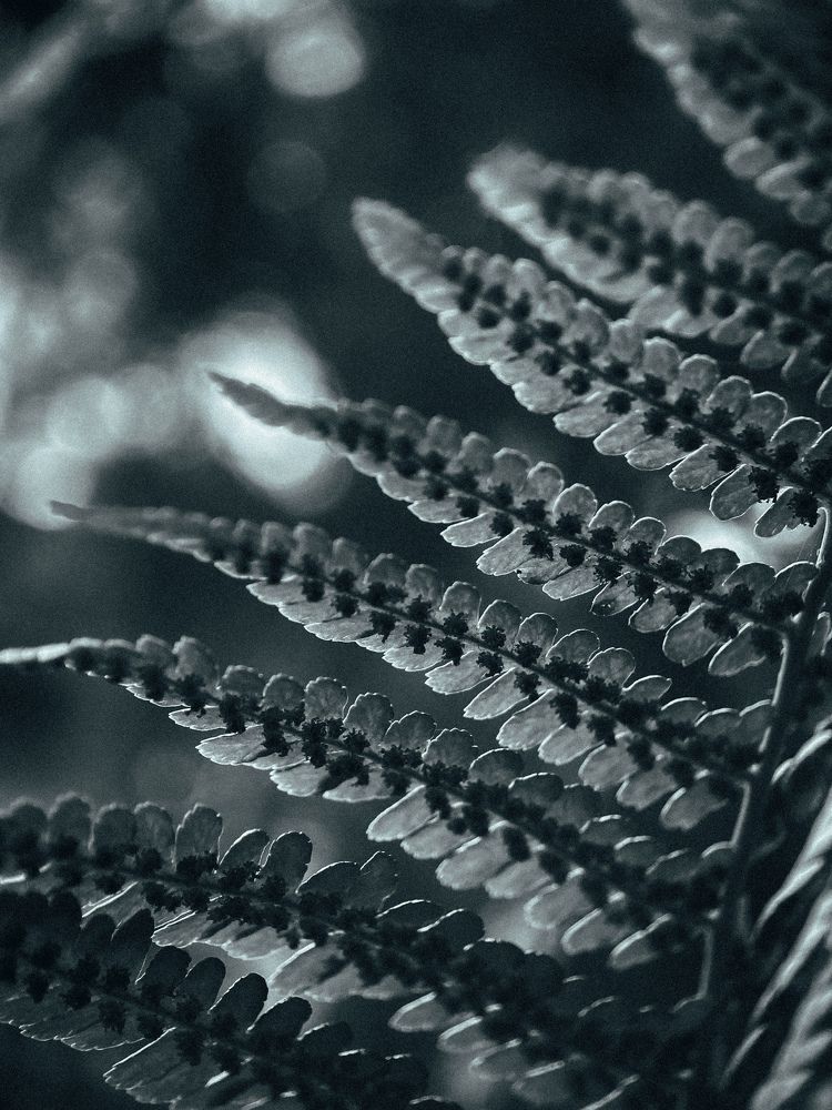 Photograph by Анна Бобкова