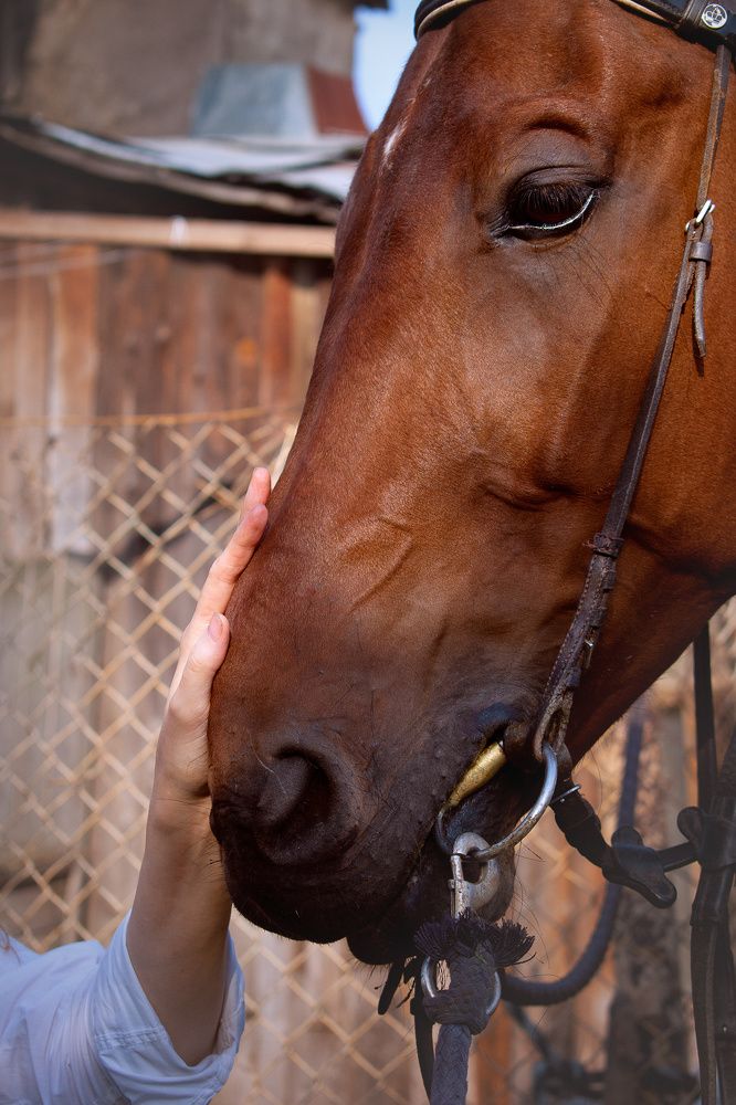 Photograph by Зоя