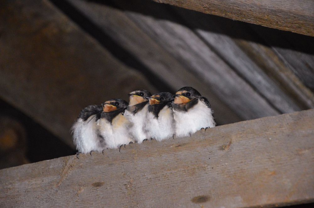 Photograph by Анастасия Рыжакова