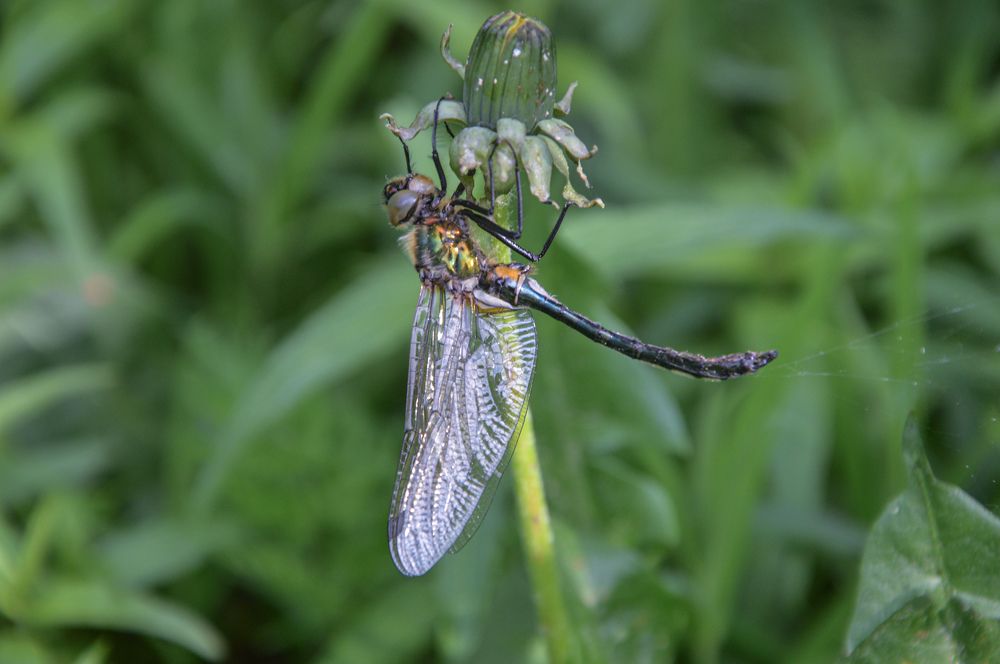 Photograph by Анастасия Рыжакова