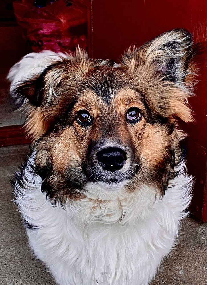 Photograph by Светлана Долганова