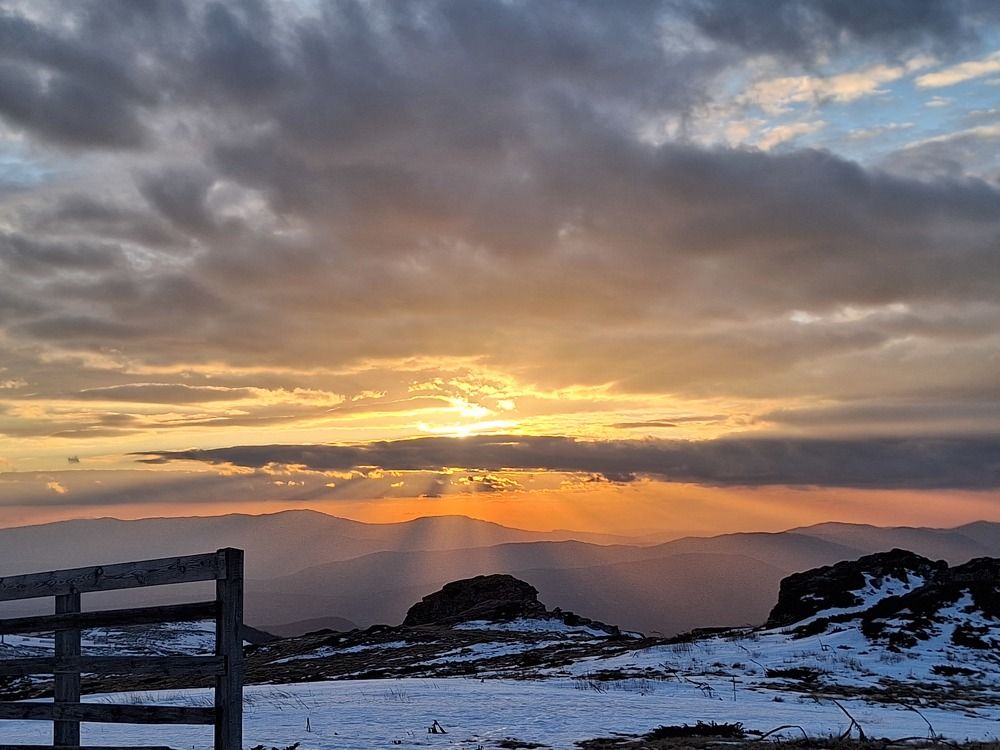 Photograph by Dragan