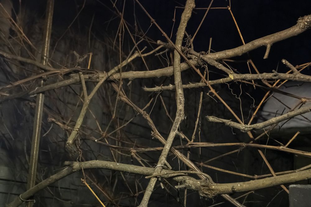 Photograph by Константин