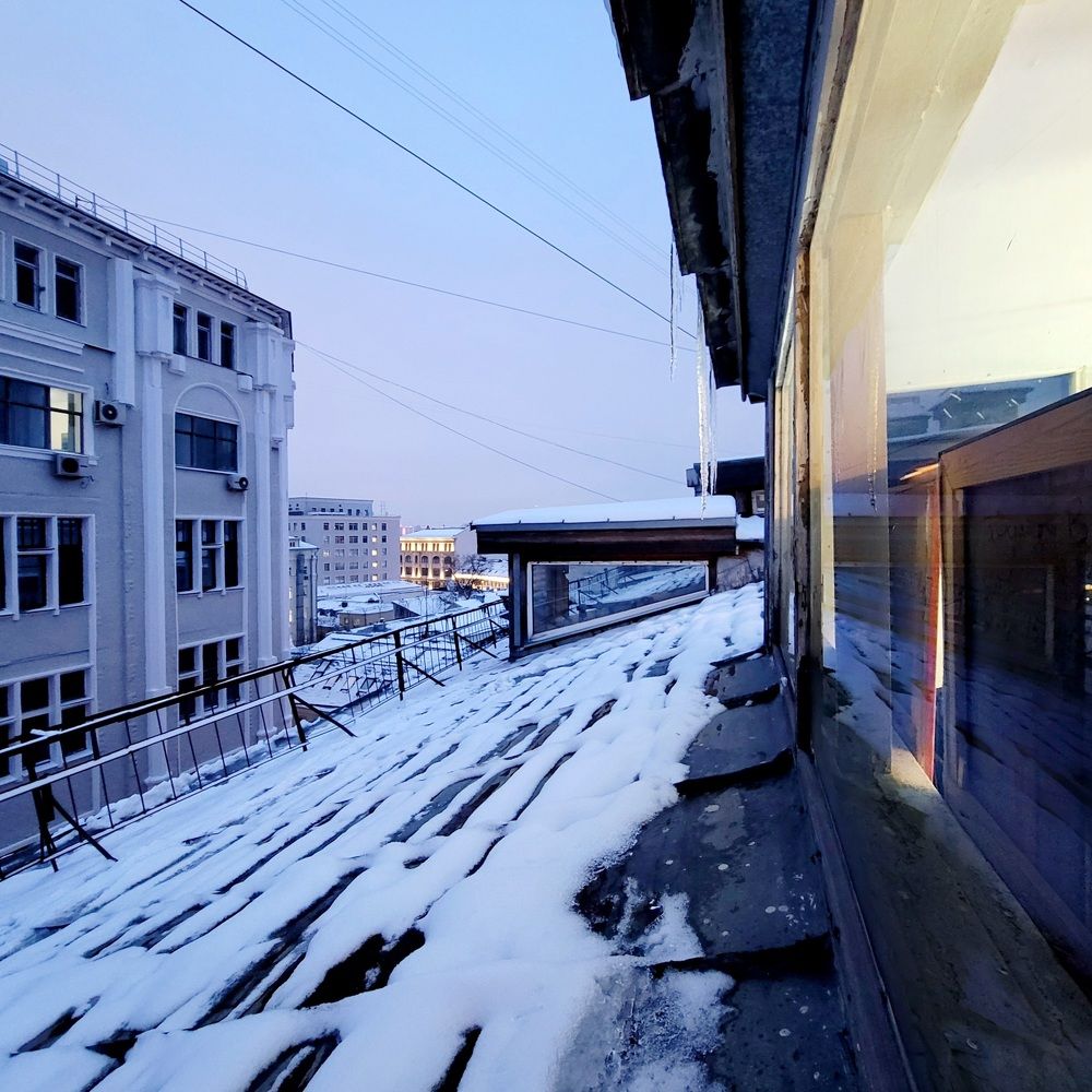 Photo #10390838
