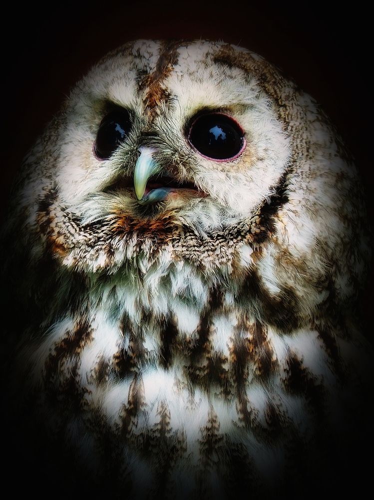 Photograph by Наталия Романова