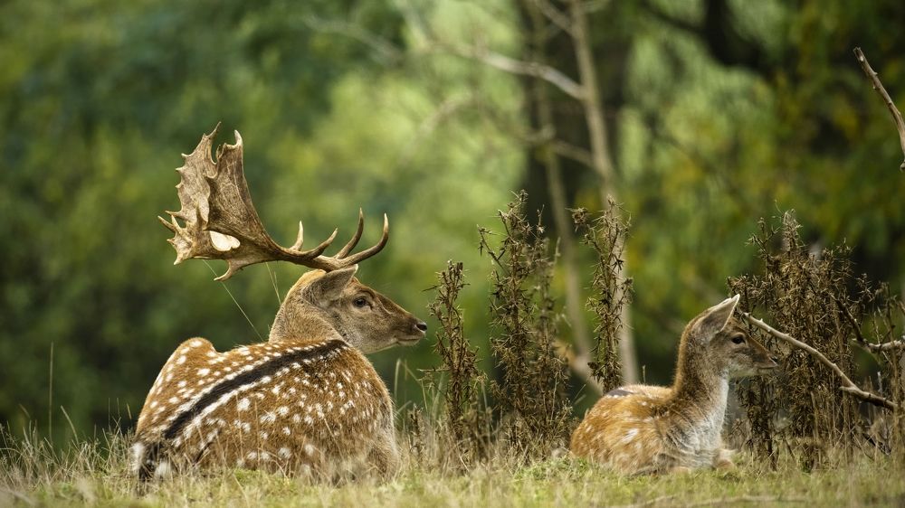 Photograph by Piotr Socha