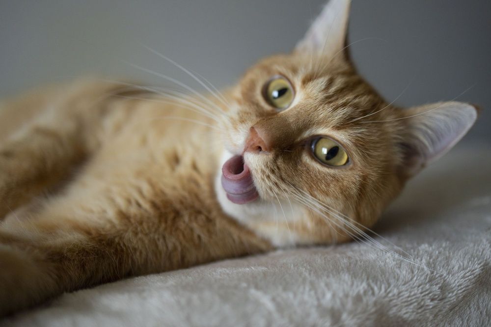 Photograph by Ольга Демидова