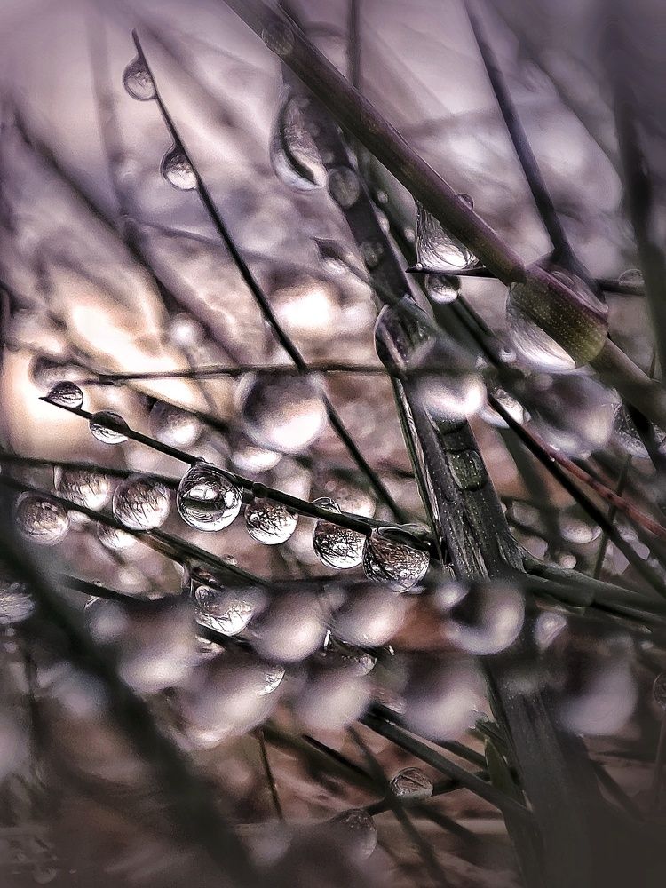 Фотография автора Ольга Сорокина