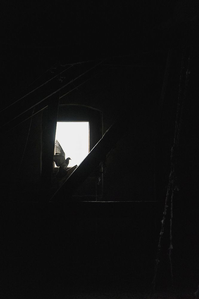 Photograph by Нина Михеева