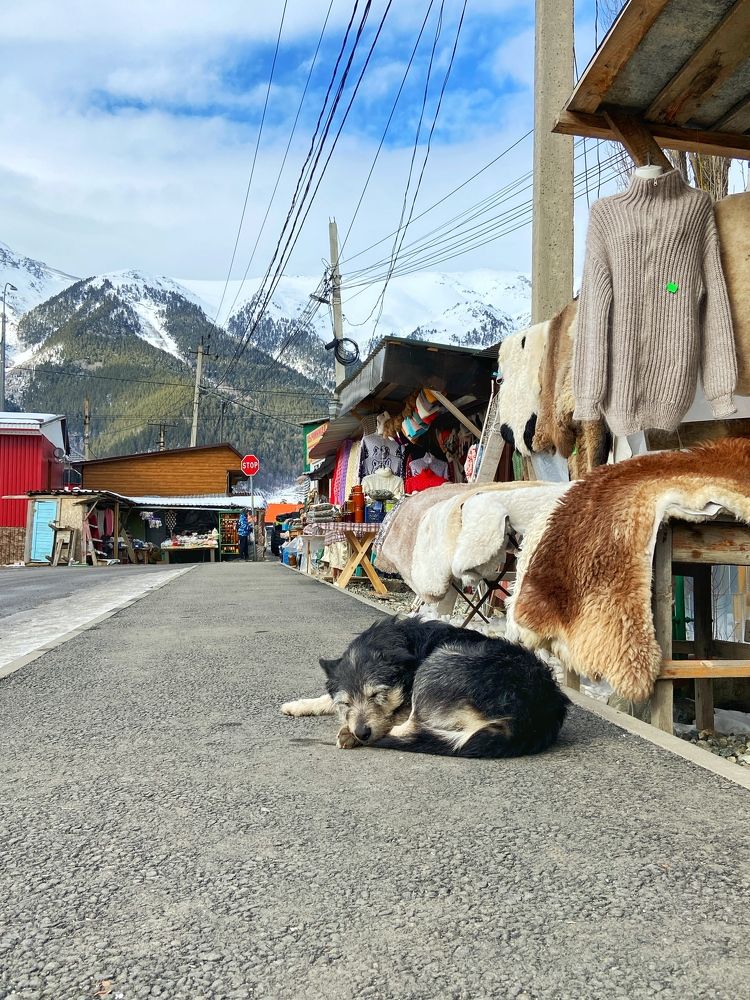 Photograph by Екатерина Анохина