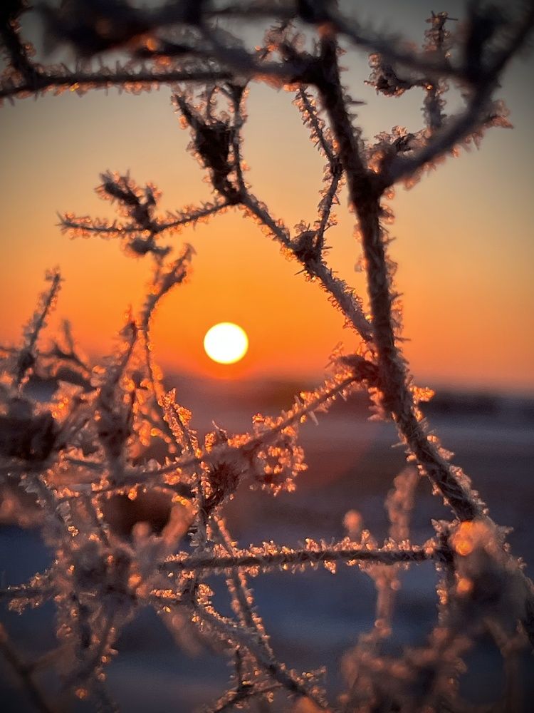 Sunrise in the Snow